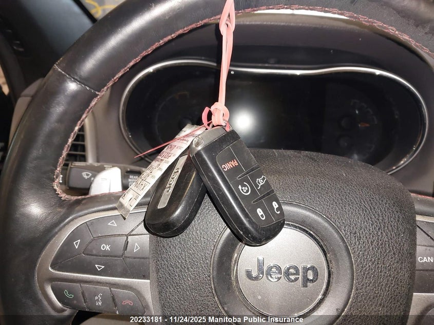 2017 Jeep Grand Cherokee Trailhawk VIN: 1C4RJFLT3HC733988 Lot: 20233181