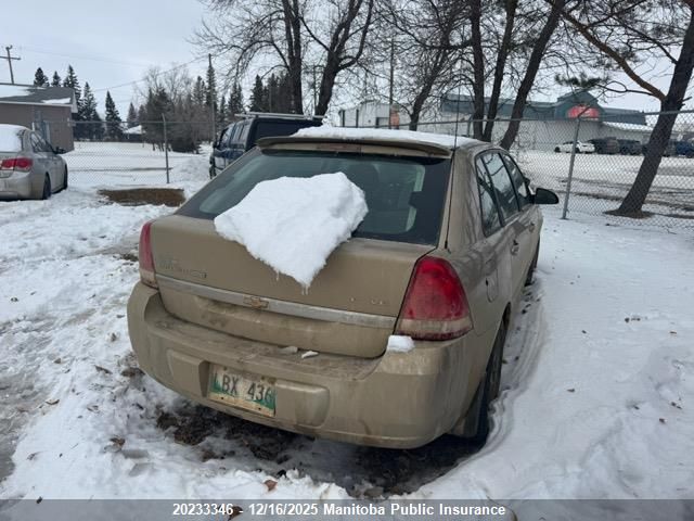 2006 Chevrolet Malibu Maxx Lt VIN: 1G1ZT61816F239898 Lot: 20233346