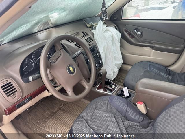 2006 Chevrolet Malibu Maxx Lt VIN: 1G1ZT61816F239898 Lot: 20233346