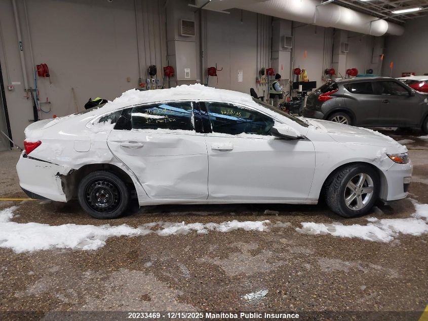 2021 Chevrolet Malibu Ls VIN: 1G1ZB5ST7MF059502 Lot: 20233469