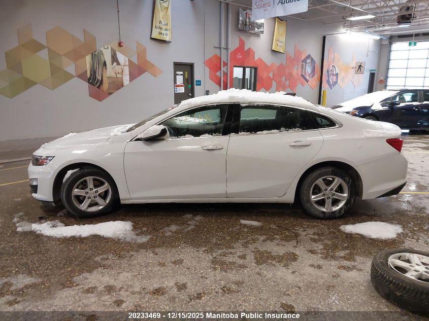 2021 Chevrolet Malibu Ls VIN: 1G1ZB5ST7MF059502 Lot: 20233469
