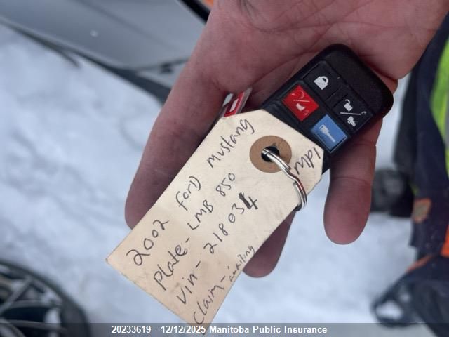 2002 Ford Mustang VIN: 1FAFP44492F218034 Lot: 20233619