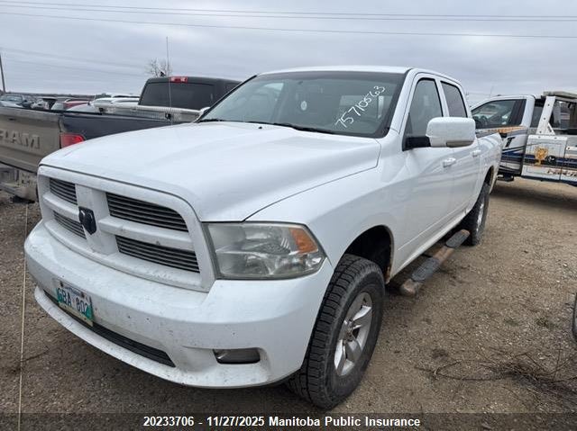 1D7RV1CT9AS210029 2010 DODGE  photo no. 2