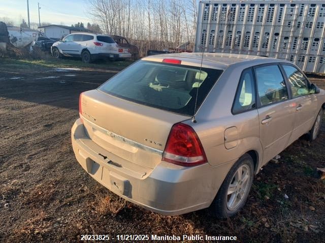 1G1ZT62865F291704 2005 CHEVROLET MALIBU photo no. 4