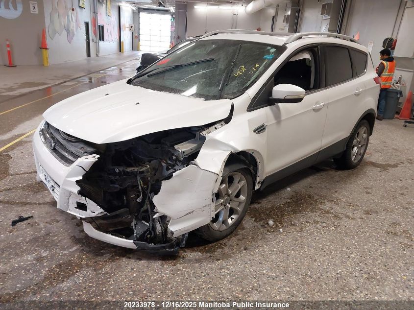 2014 Ford Escape Titanium VIN: 1FMCU9J90EUD89172 Lot: 20233978