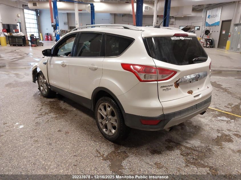 2014 Ford Escape Titanium VIN: 1FMCU9J90EUD89172 Lot: 20233978