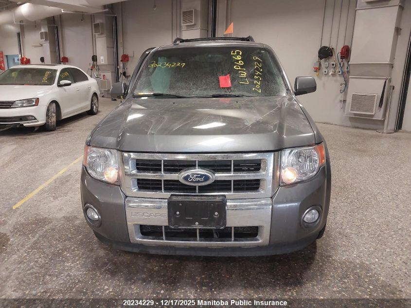 2010 Ford Escape Limited V6 VIN: 1FMCU9EG2AKD08557 Lot: 20234229