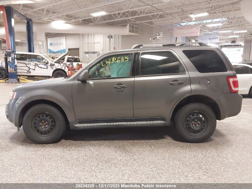 2010 Ford Escape Limited V6 VIN: 1FMCU9EG2AKD08557 Lot: 20234229