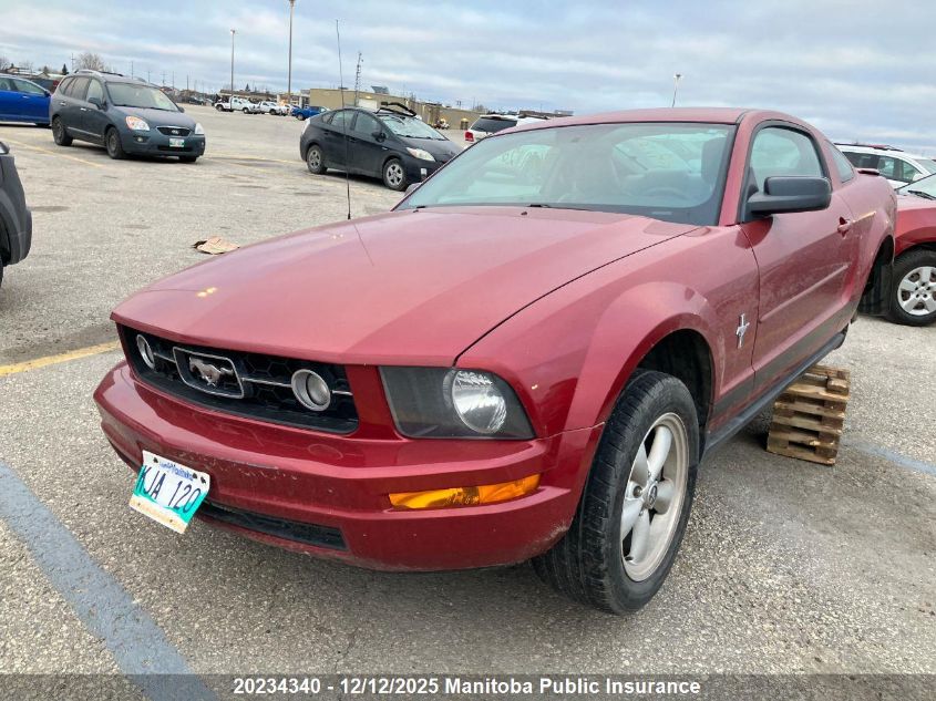 2008 Ford Mustang VIN: 1ZVHT80N385144481 Lot: 20234340