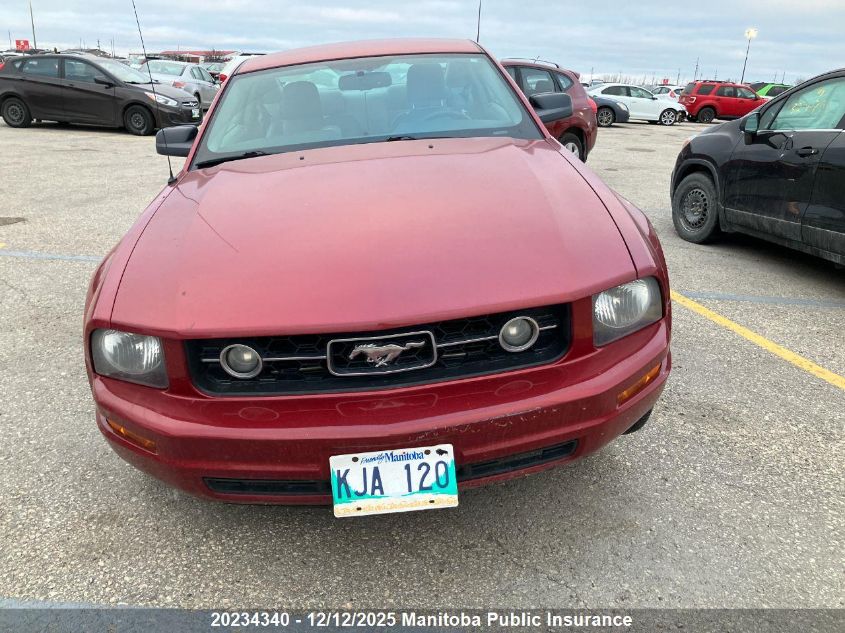 2008 Ford Mustang VIN: 1ZVHT80N385144481 Lot: 20234340