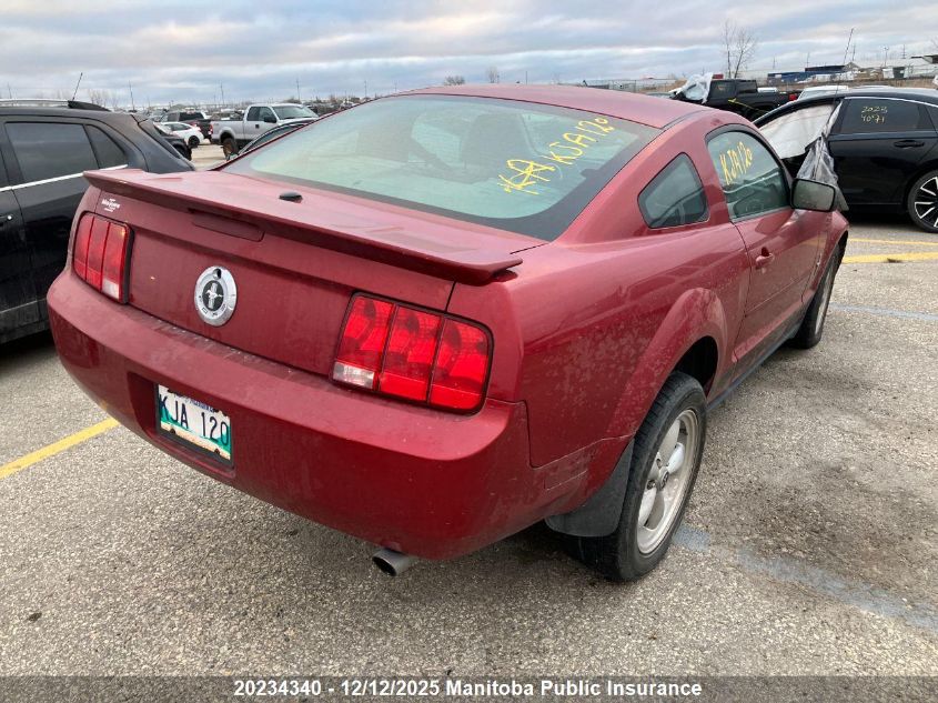 2008 Ford Mustang VIN: 1ZVHT80N385144481 Lot: 20234340