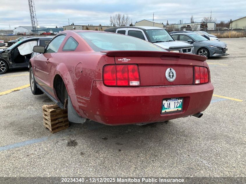 2008 Ford Mustang VIN: 1ZVHT80N385144481 Lot: 20234340