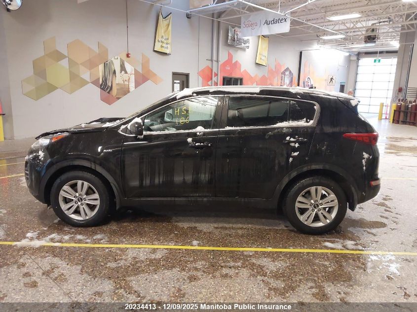 2017 Kia Sportage Lx VIN: KNDPMCAC9H7201606 Lot: 20234413