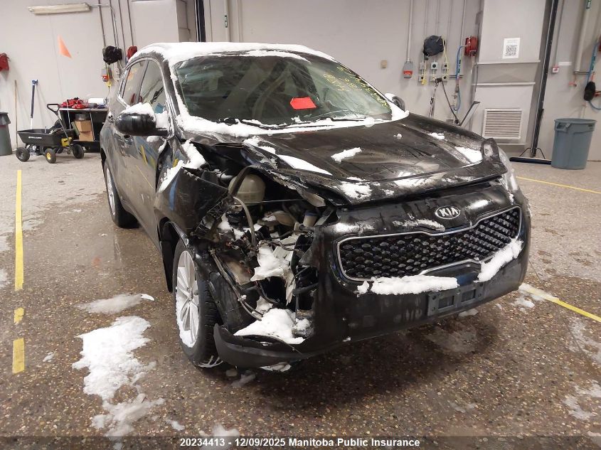 2017 Kia Sportage Lx VIN: KNDPMCAC9H7201606 Lot: 20234413