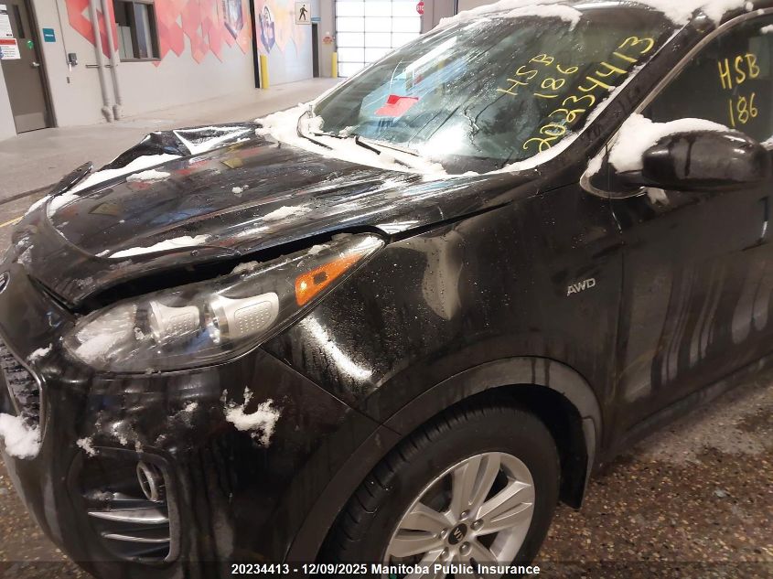 2017 Kia Sportage Lx VIN: KNDPMCAC9H7201606 Lot: 20234413