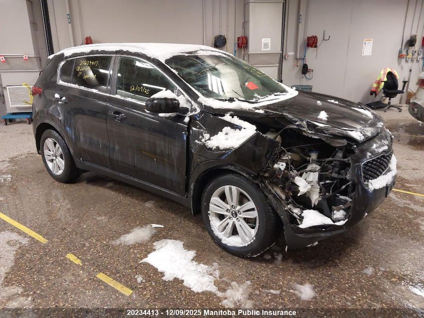 2017 Kia Sportage Lx VIN: KNDPMCAC9H7201606 Lot: 20234413