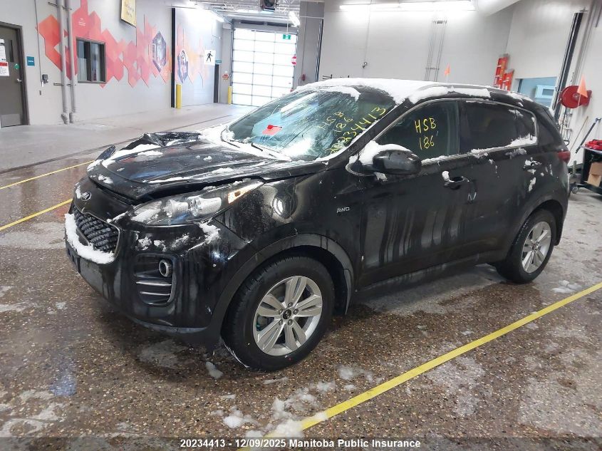 2017 Kia Sportage Lx VIN: KNDPMCAC9H7201606 Lot: 20234413