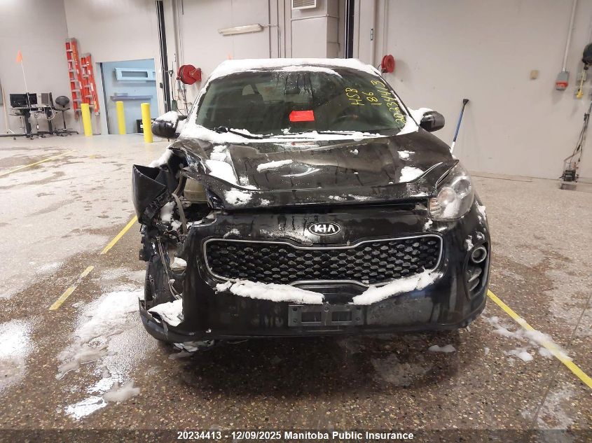 2017 Kia Sportage Lx VIN: KNDPMCAC9H7201606 Lot: 20234413