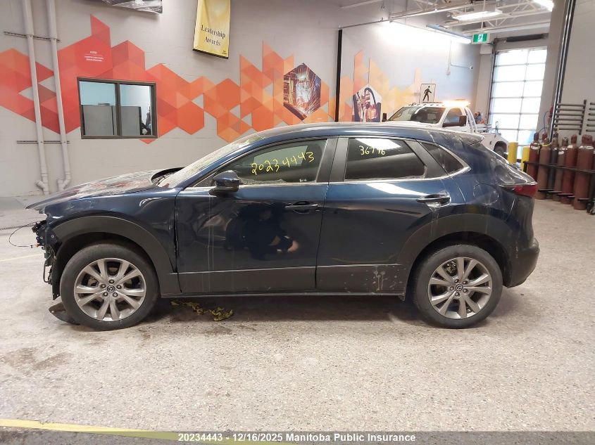 2023 Mazda Cx-30 Gs VIN: 3MVDMBCM4PM509577 Lot: 20234443