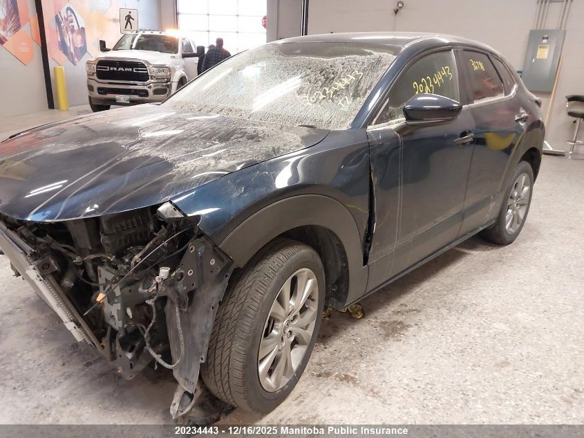 2023 Mazda Cx-30 Gs VIN: 3MVDMBCM4PM509577 Lot: 20234443