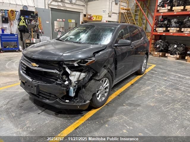 2020 Chevrolet Equinox Ls VIN: 2GNAXUEV6L6229247 Lot: 20234767