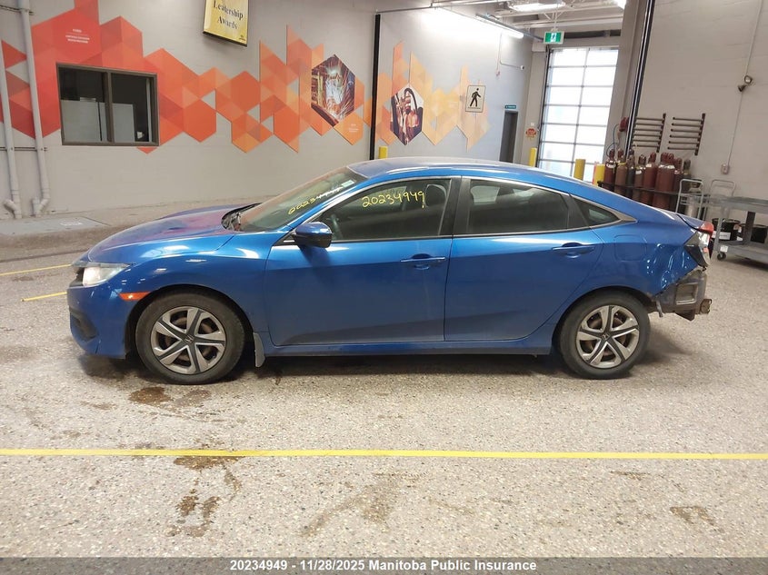 2016 Honda Civic Lx VIN: 2HGFC2F51GH032947 Lot: 20234949