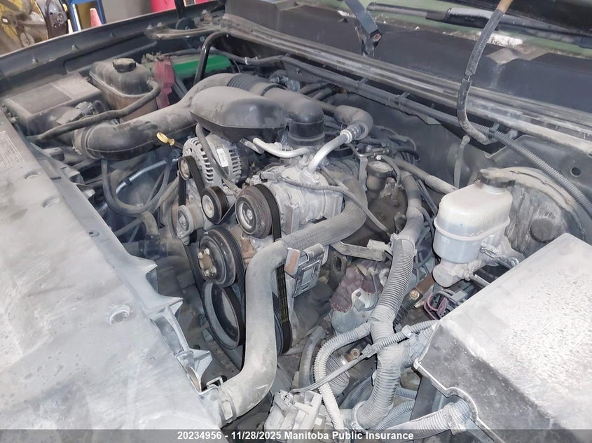 2011 Chevrolet Silverado 1500 Wt VIN: 1GCNCPEX8BZ151467 Lot: 20234956