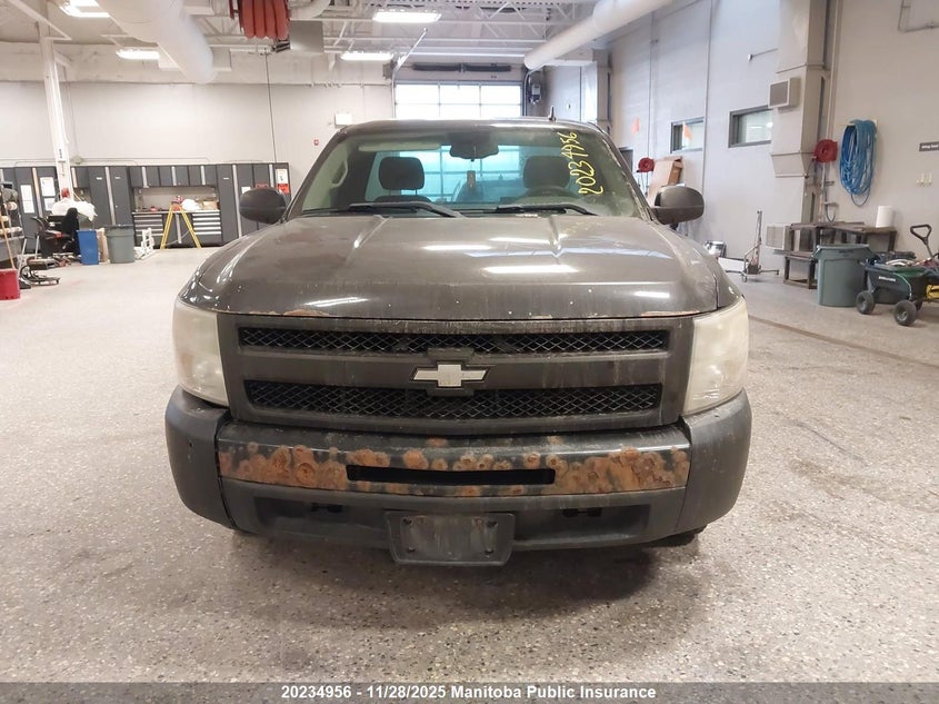 2011 Chevrolet Silverado 1500 Wt VIN: 1GCNCPEX8BZ151467 Lot: 20234956