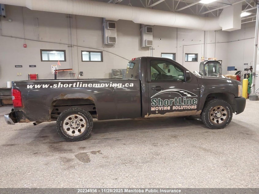 2011 Chevrolet Silverado 1500 Wt VIN: 1GCNCPEX8BZ151467 Lot: 20234956