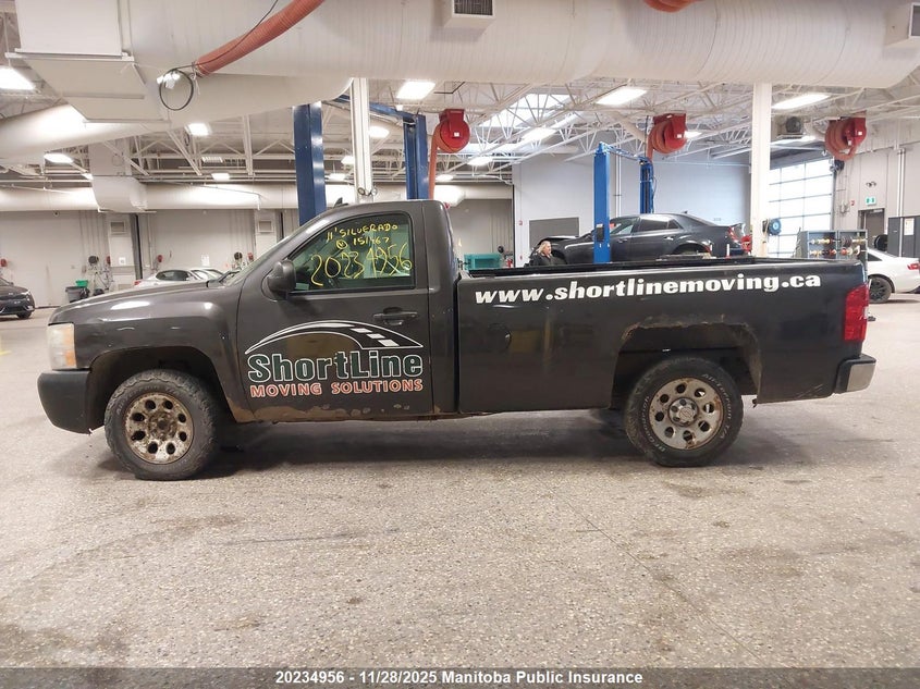 2011 Chevrolet Silverado 1500 Wt VIN: 1GCNCPEX8BZ151467 Lot: 20234956