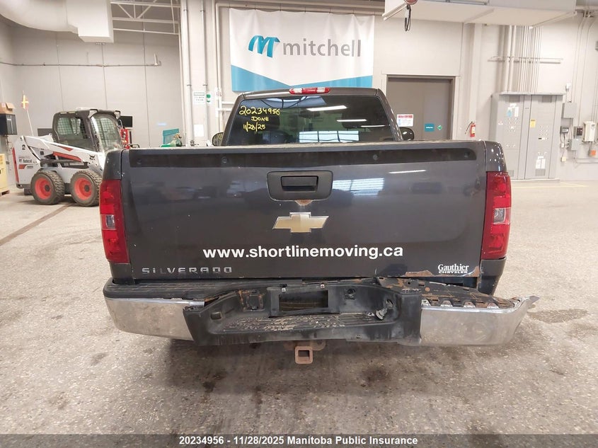 2011 Chevrolet Silverado 1500 Wt VIN: 1GCNCPEX8BZ151467 Lot: 20234956