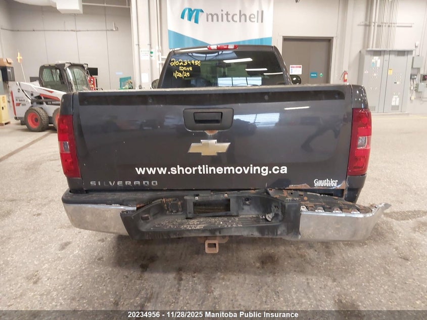 2011 Chevrolet Silverado 1500 Wt VIN: 1GCNCPEX8BZ151467 Lot: 20234956