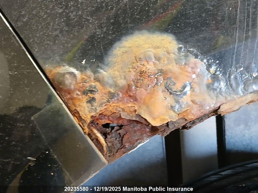 2012 Suzuki Sx4 VIN: JS2YA5A16C6300251 Lot: 20235580