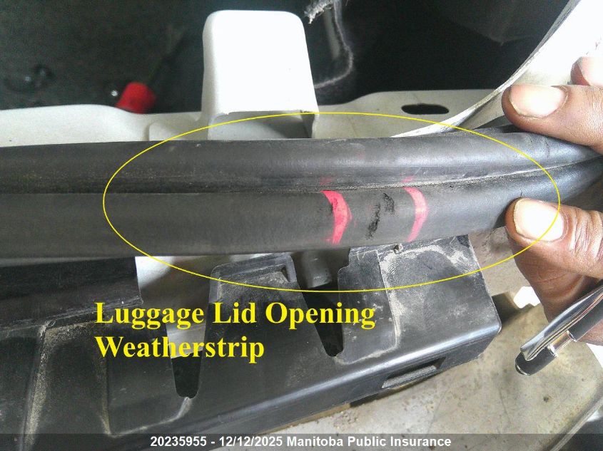 2016 Chevrolet Malibu Limited Ls VIN: 1G11B5SA4GF134415 Lot: 20235955