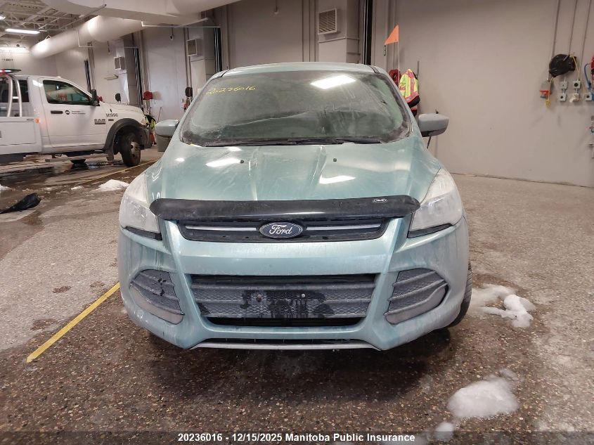 2013 Ford Escape Se VIN: 1FMCU0GX2DUA75801 Lot: 20236016