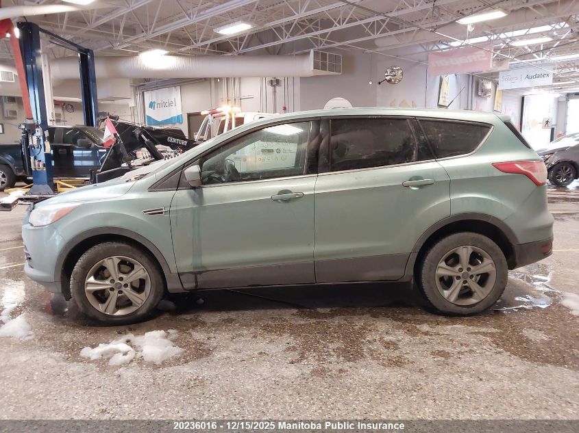 2013 Ford Escape Se VIN: 1FMCU0GX2DUA75801 Lot: 20236016