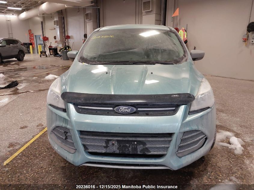 2013 Ford Escape Se VIN: 1FMCU0GX2DUA75801 Lot: 20236016