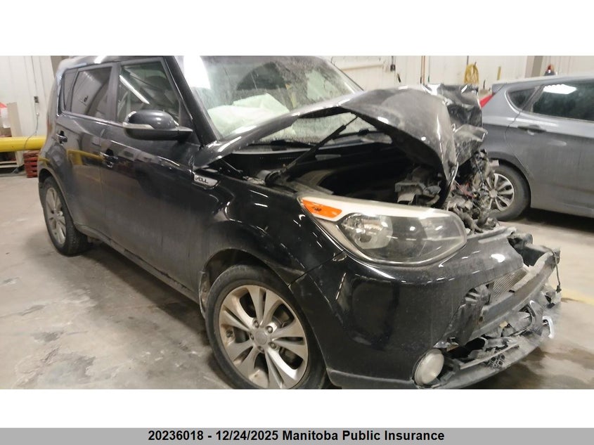 KNDJP3A51F7213910 2015 Kia Soul Ex auction photo 1
