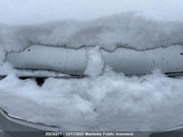 2007 Nissan Sentra 2.0 S VIN: 3N1AB61E87L644129 Lot: 20236275