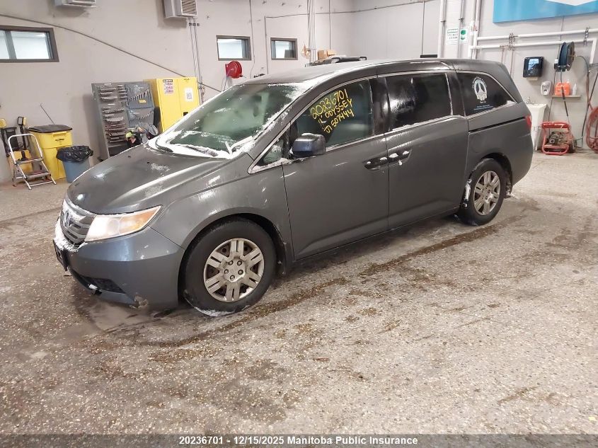 2011 Honda Odyssey Lx VIN: 5FNRL5H28BB507444 Lot: 20236701