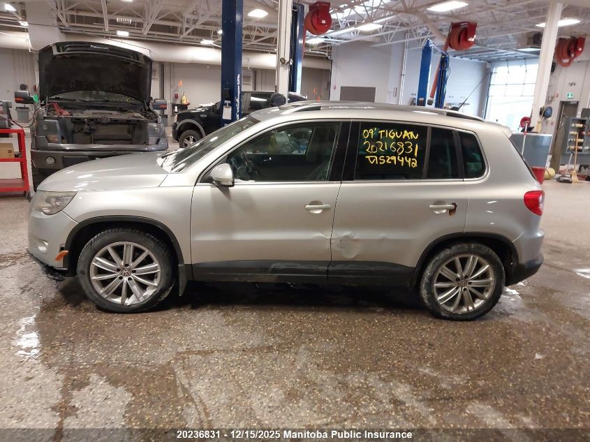 2009 Volkswagen Tiguan 2.0 Tsi VIN: WVGBV75N59W529442 Lot: 20236831