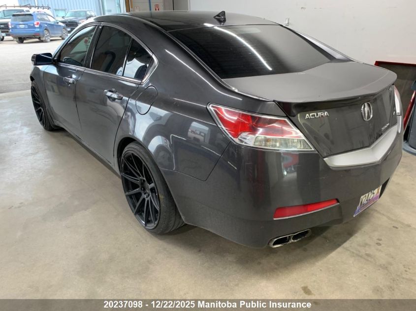 2009 Acura 3.7 Tl VIN: 19UUA96549A801870 Lot: 20237098