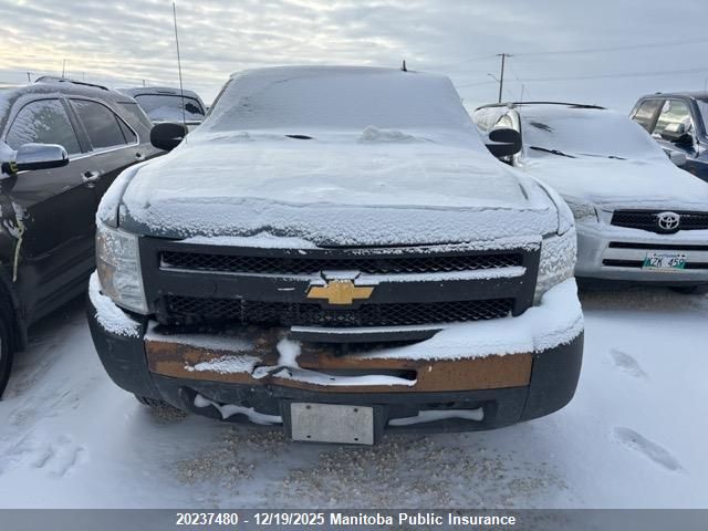 2013 Chevrolet Silverado 1500 Wt Ext Cab VIN: 1GCRCPEX5DZ301586 Lot: 20237480