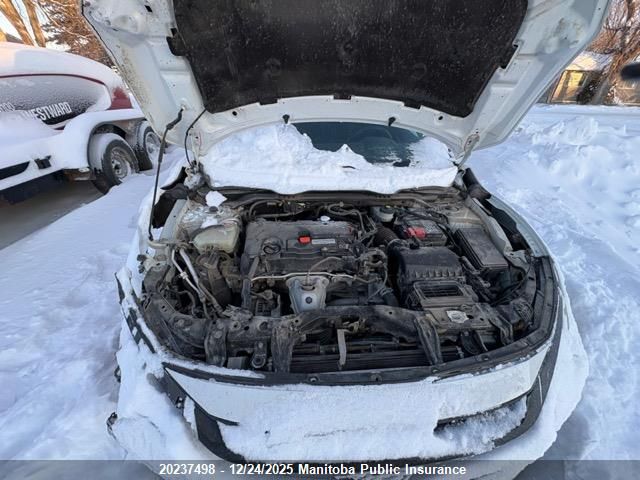 2019 Honda Civic Lx VIN: 2HGFC2F57KH023257 Lot: 20237498