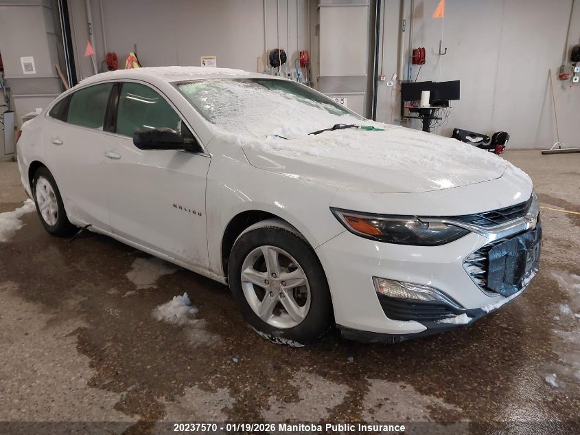 2023 Chevrolet Malibu