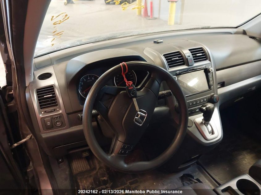 2009 Honda Cr-V Lx VIN: 5J6RE48319L800648 Lot: 20242162