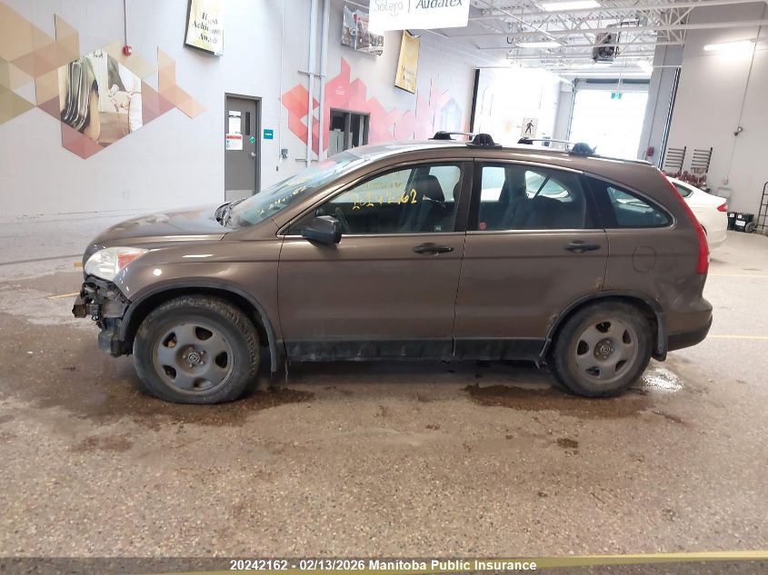 2009 Honda Cr-V Lx VIN: 5J6RE48319L800648 Lot: 20242162