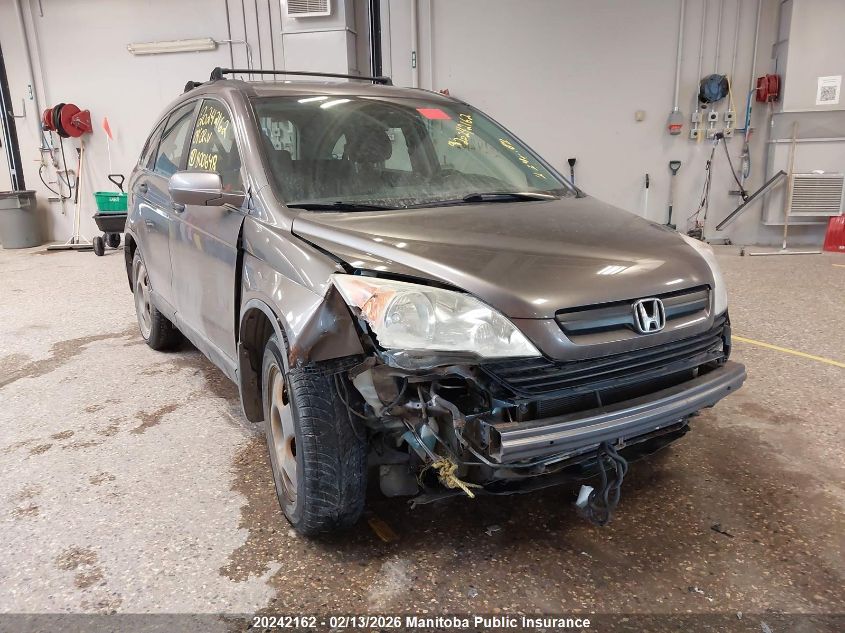 2009 Honda Cr-V Lx VIN: 5J6RE48319L800648 Lot: 20242162