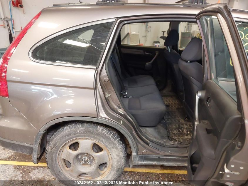 2009 Honda Cr-V Lx VIN: 5J6RE48319L800648 Lot: 20242162