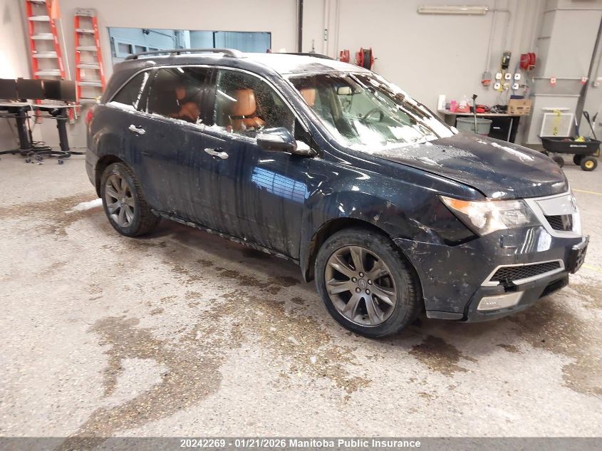 2010 Acura MDX